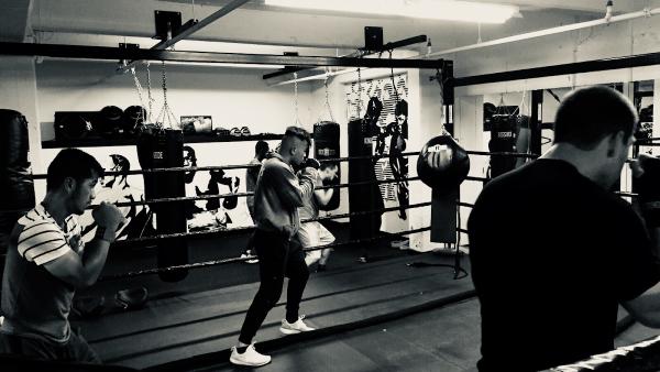 Sugarrays Boxing