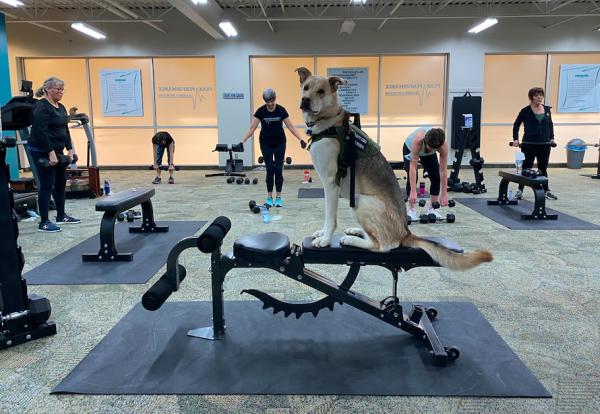 Peak Performance Training & Nutrition