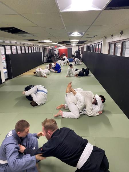 Chesswood Brazilian Jiu-Jitsu