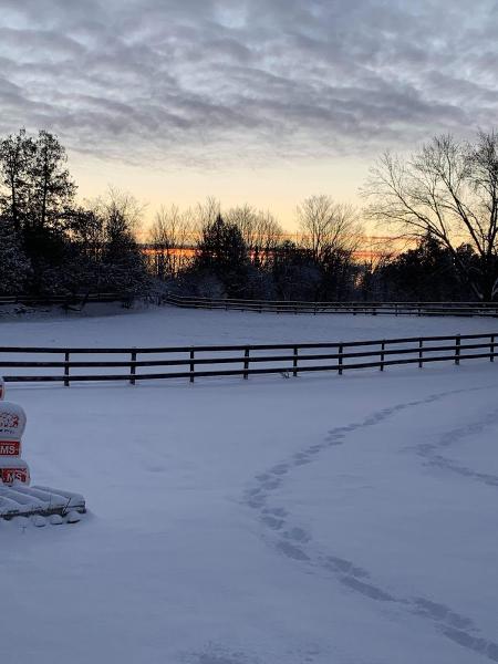 Evamar Farms Equestrian Centre