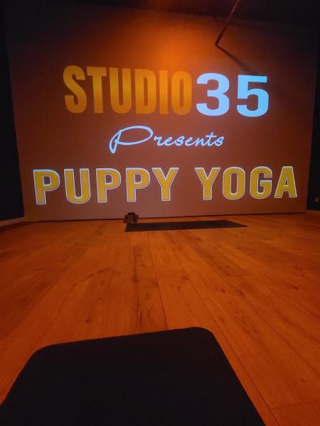 Studio 35