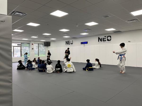 NEO Martial Arts Academy