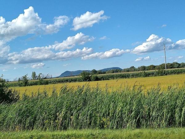 Ferme Equestre Excalibur