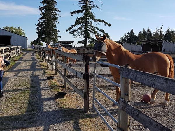 Cornwall Ridge Farm