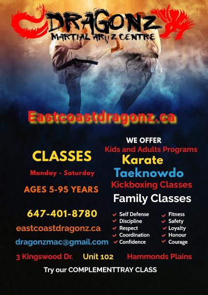Dragonz Martial Artz Centre
