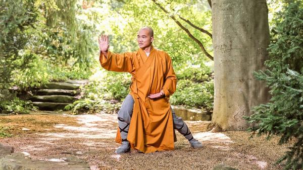 Shaolin Temple Quanfa Institute (Stqi) Toronto