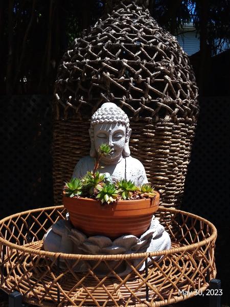 Adi Shakti Yoga Centre: Home of Kundalini Yoga in Ottawa