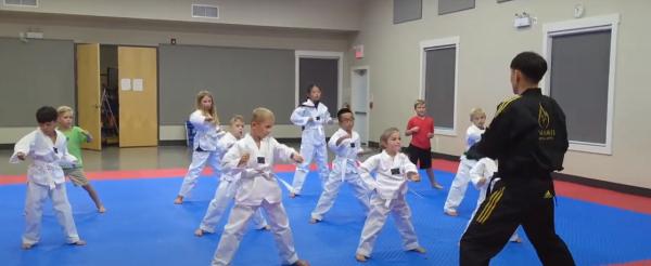Dynamis Martial Arts Taekwondo