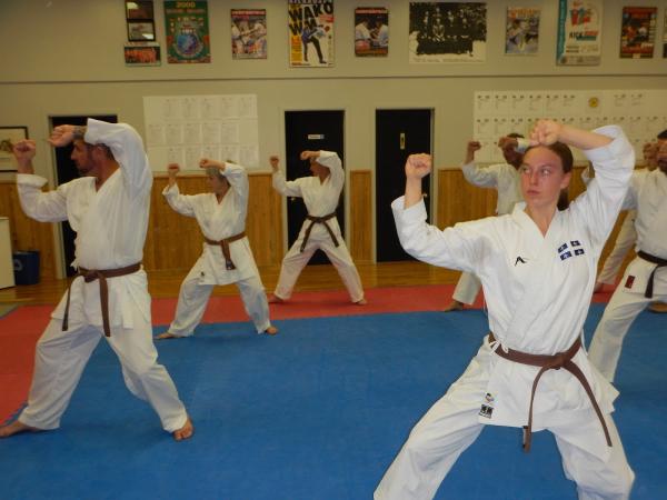 Karate Sylvain Lagace
