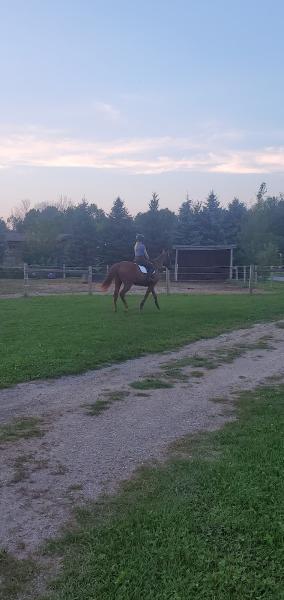 Kuruka Equestrian