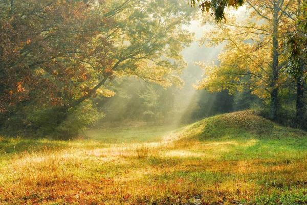 Simply Meditation