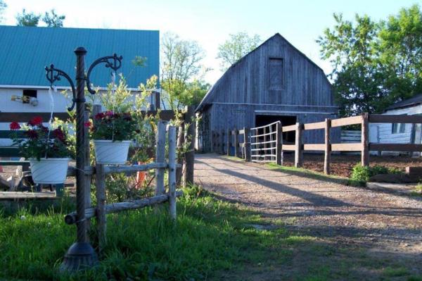 Equestrian Riding Center Bonanza