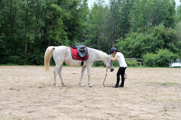 Equestrian Riding Center Bonanza