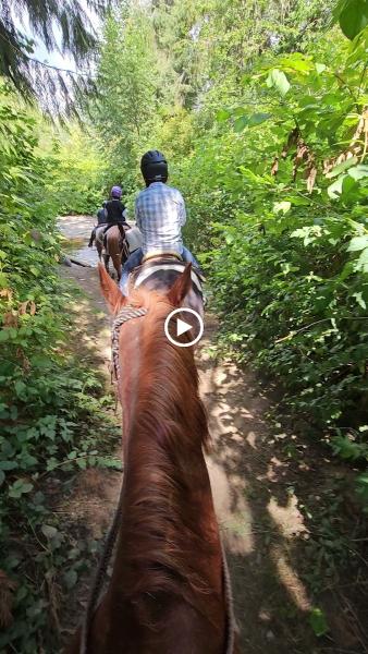 Leghorn Ranch Horseback Trail Rides