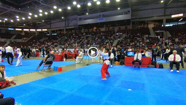Black Belt World.
