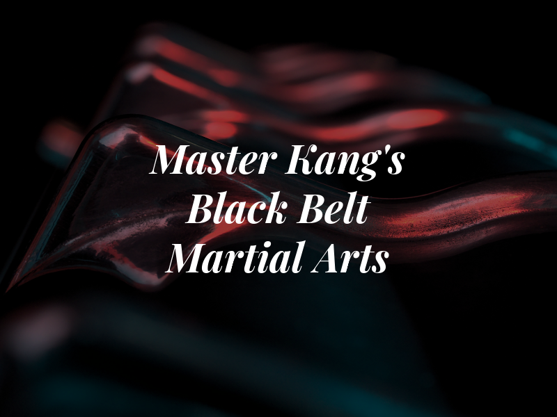 Master Kang's Black Belt Martial Arts