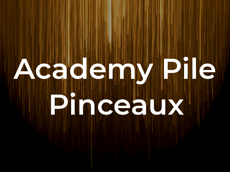 Academy Pile Et Pinceaux