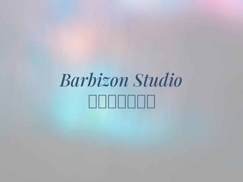 Barbizon Art Studio 巴比松美术空间