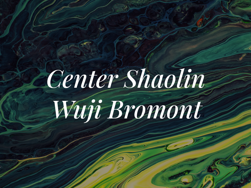 Center Shaolin Wuji Bromont