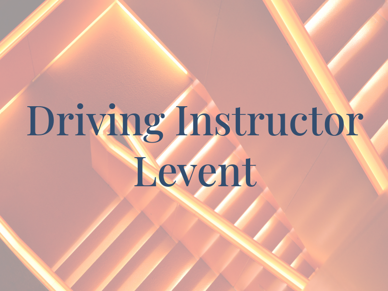 Driving Instructor Levent