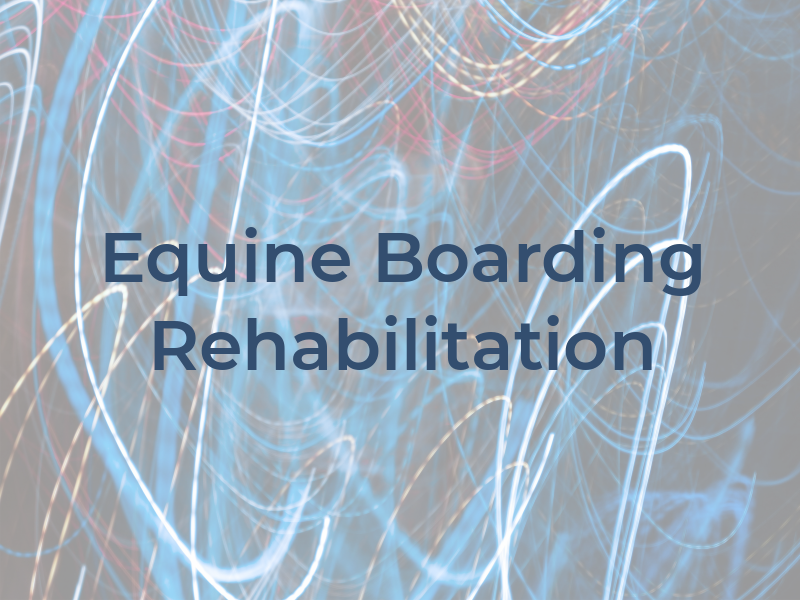 HD Equine Boarding & Rehabilitation