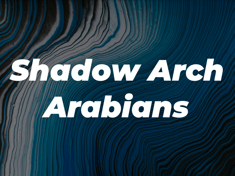 Shadow Arch Arabians