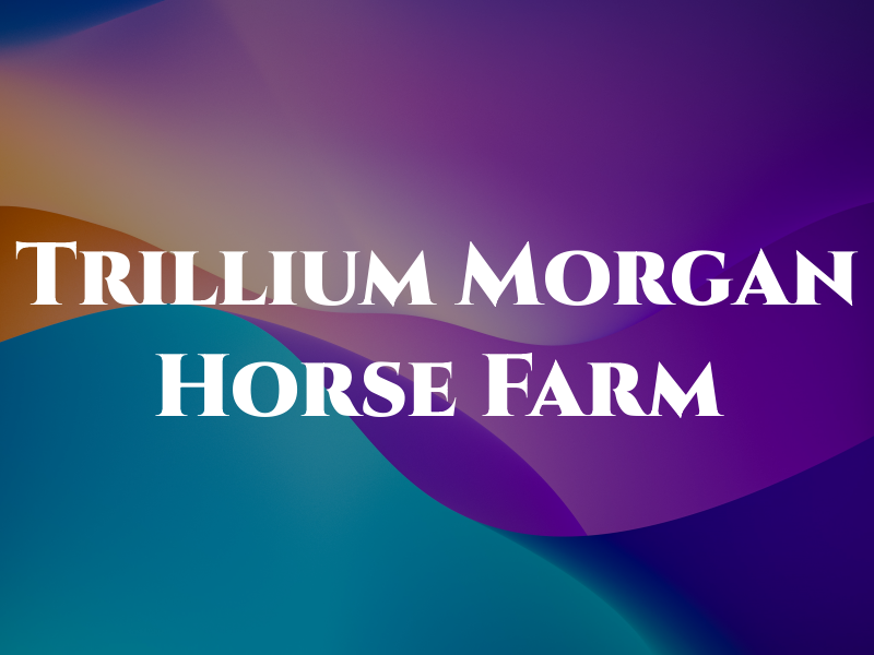 Trillium Morgan Horse Farm