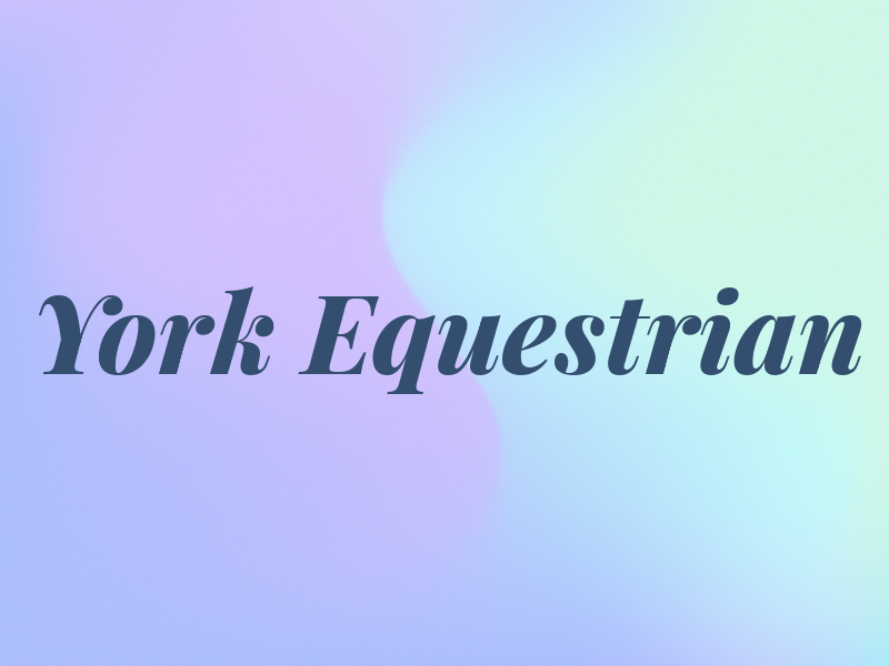 York Equestrian