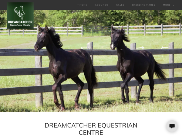 Dreamcatcher Equestrian Centre