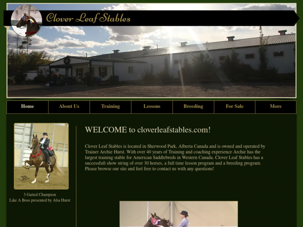 Clover Leaf Stables Equestrian Centre