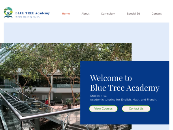 Blue Tree Academy