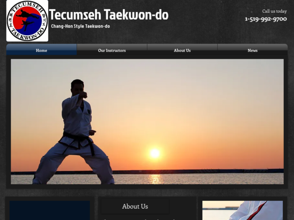 Tecumseh Taekwon Do
