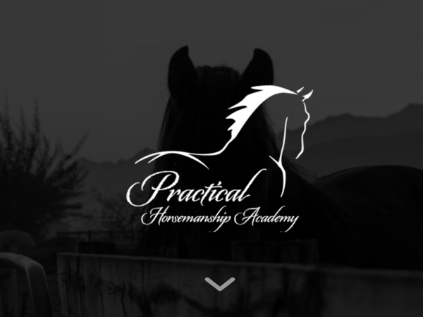 Practical Horsemanship Academy i