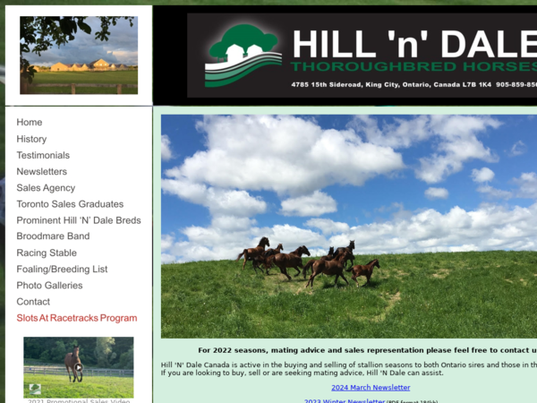 Hill 'N' Dale Thoroughbred Horses Canada