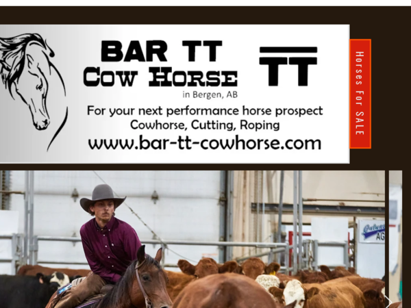 Bar TT Cowhorse